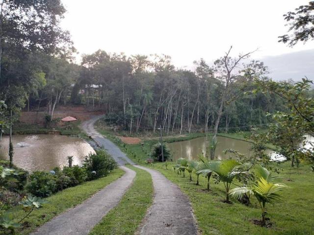 #80 - Chácara para Venda em Blumenau - SC