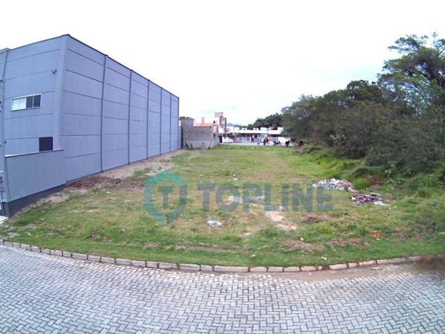 #143 - Área para Venda em Tijucas - SC