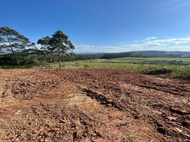 Venda em Moura - Canelinha