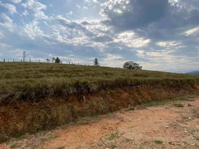 #259 - Área para Venda em Canelinha - SC