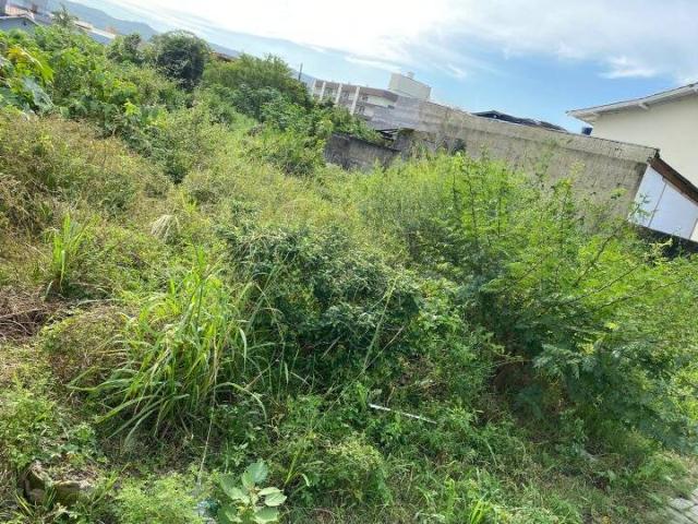 #381 - Área para Venda em Bombinhas - SC